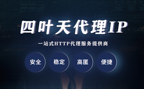 【张家界代理IP】代理ip客户端使用教程