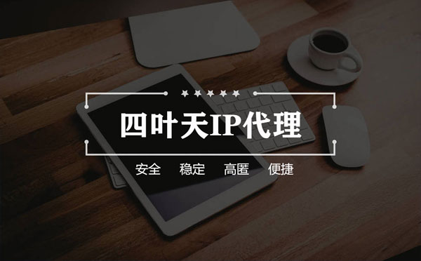 【张家界代理IP】如何快速搭建代理IP？怎么检查代理的效果？